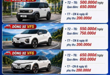5 Lý Do Nên Chọn Nhà Xe Bi Mập Cho Mọi Chuyến Đi Của Bạn