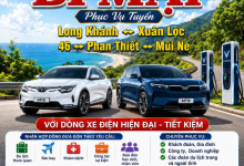 Lịch Trình, Giá Vé Và Số Điện Thoại Đặt Vé Nhà Xe Bi Mập Mới Nhất