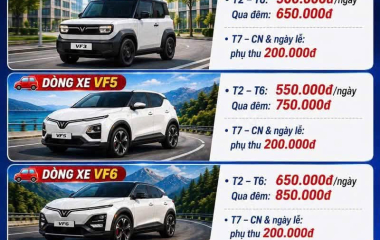 5 Lý Do Nên Chọn Nhà Xe Bi Mập Cho Mọi Chuyến Đi Của Bạn